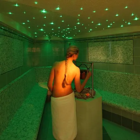Hotel Adults Only Hotel Grafenstein 4*